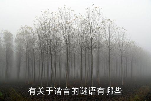 有關(guān)于諧音的謎語有哪些