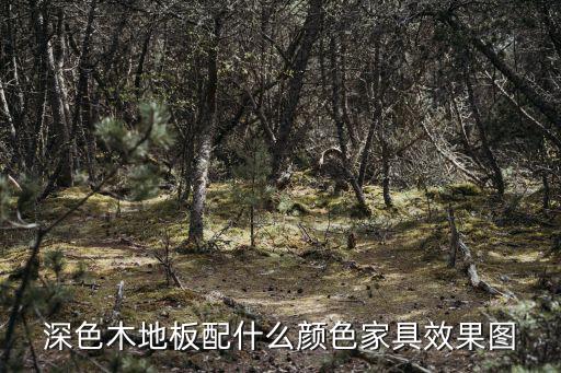 深色木地板配什么顏色家具效果圖