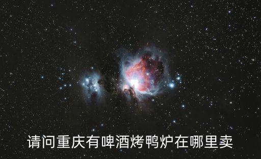 請問重慶有啤酒烤鴨爐在哪里賣