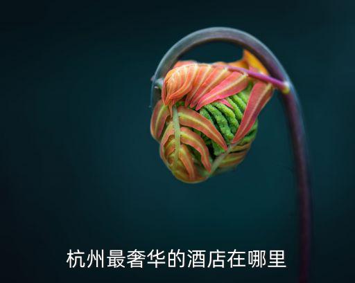 杭州最奢華的酒店在哪里