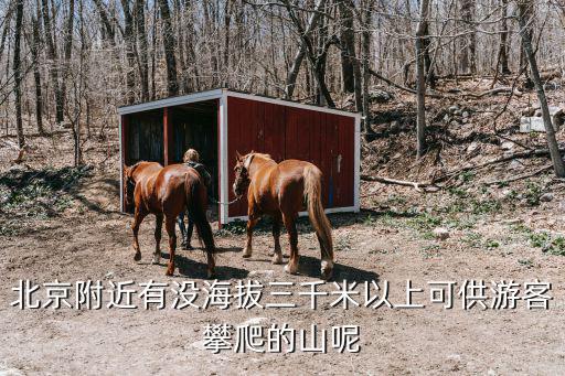 云梯山,河北平山縣梁山峻嶺之上的云梯山被稱為火山之王