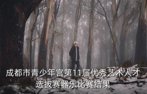 成都市青少年宮第11屆優(yōu)秀藝術人才選拔賽器樂比賽結(jié)果