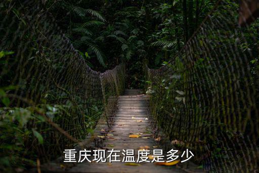 重慶現在溫度是多少