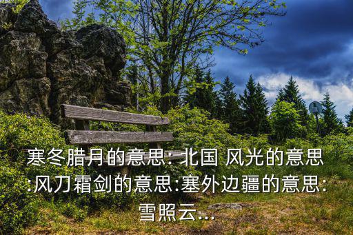 寒冬臘月的意思: 北國 風光的意思:風刀霜劍的意思:塞外邊疆的意思:雪照云...