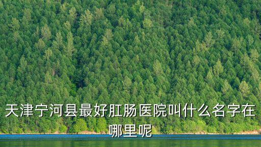 天津?qū)幒涌h最好肛腸醫(yī)院叫什么名字在哪里呢