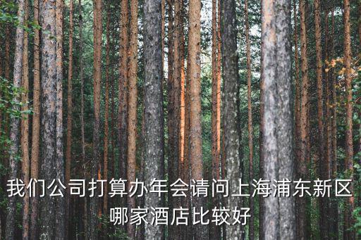 浦東最好的酒店排名，我們公司打算辦年會請問上海浦東新區哪家酒店比較好