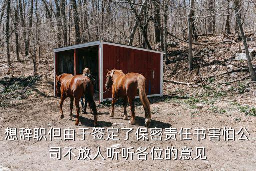 保密責任書，想辭職但由于簽定了保密責任書害怕公司不放人聽聽各位的意見