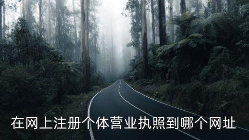 在網上注冊個體營業執照到哪個網址