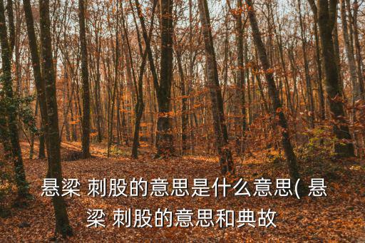  懸梁 刺股的意思是什么意思( 懸梁 刺股的意思和典故
