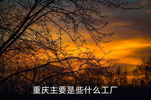 重慶市的中小型企業有哪些，重慶哪里的中小型企業最多機械制造業