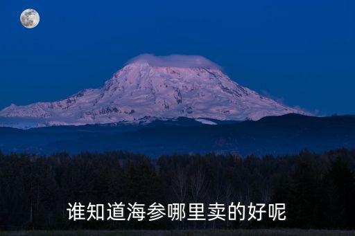 誰知道海參哪里賣的好呢