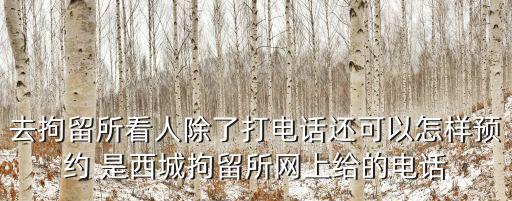 去拘留所看人除了打電話還可以怎樣預約 是西城拘留所網上給的電話