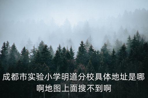 成都市實驗小學明道分校具體地址是哪啊地圖上面搜不到啊