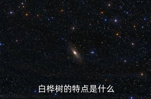什么的白樺樹,樹皮像紙一樣又白又滑喜歡陽光和雨季