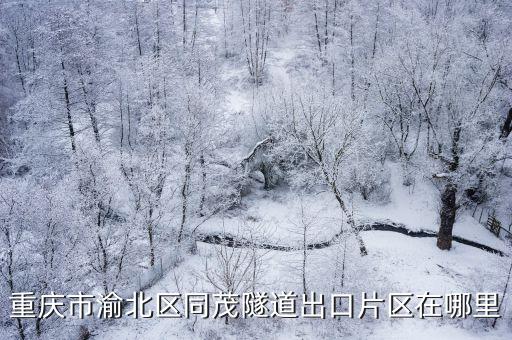 重慶市糖酒公司家屬院，重慶市渝北區(qū)同茂隧道出口片區(qū)在哪里