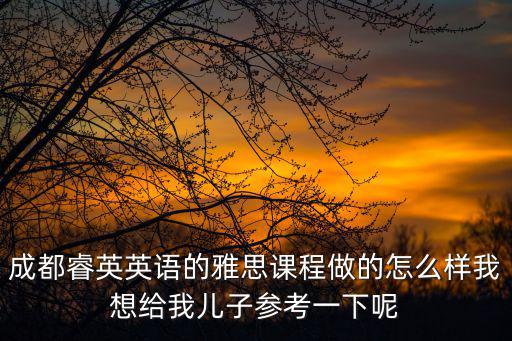 成都睿英英語的雅思課程做的怎么樣我想給我兒子參考一下呢
