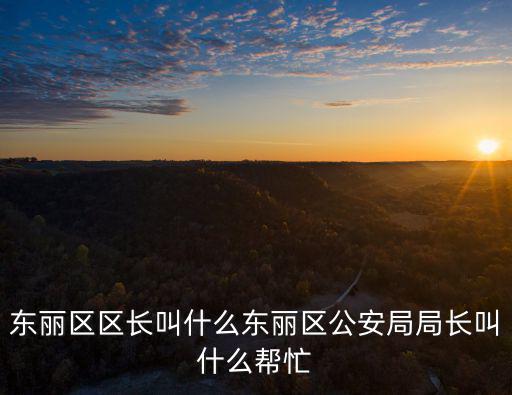 東麗區(qū)區(qū)長叫什么東麗區(qū)公安局局長叫什么幫忙