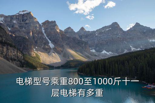 電梯型號乘重800至1000斤十一層電梯有多重