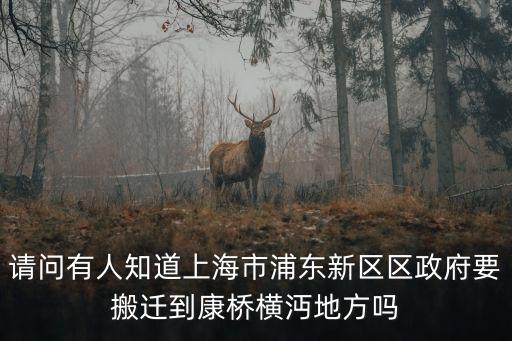 請問有人知道上海市浦東新區(qū)區(qū)政府要搬遷到康橋橫沔地方嗎