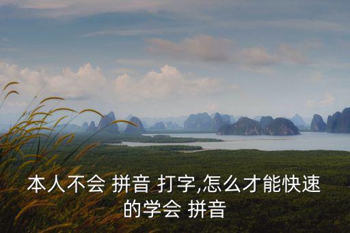 本人不會 拼音 打字,怎么才能快速的學會 拼音