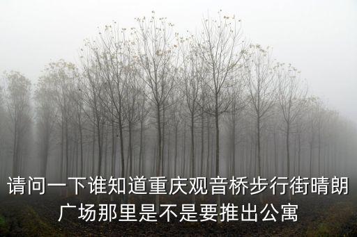 重慶市觀音橋步行街青年公寓，請問一下誰知道重慶觀音橋步行街晴朗廣場那里是不是要推出公寓
