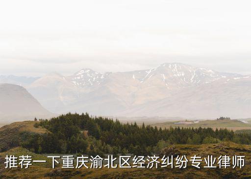 推薦一下重慶渝北區(qū)經(jīng)濟(jì)糾紛專業(yè)律師