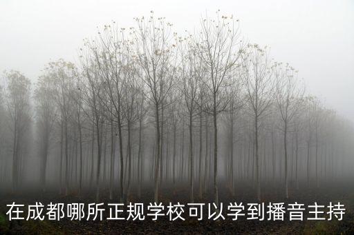 成都市學播音導的地方，成都學播音主持的學校有哪些藝術高考培訓藝考自我