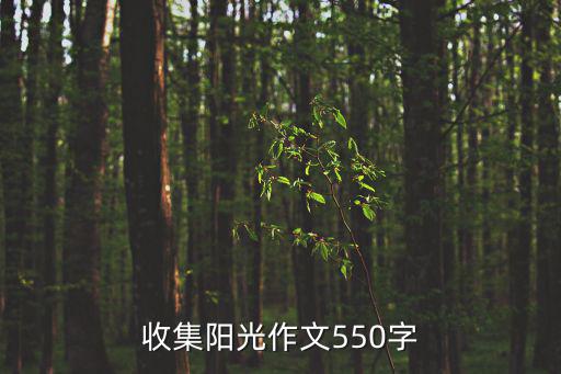 收集陽光，收集陽光范文