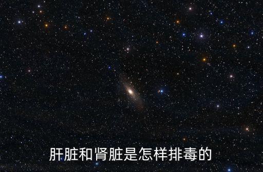 肝臟和腎臟是怎樣排毒的
