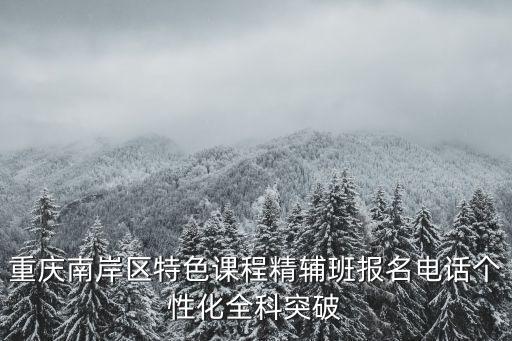 重慶南岸區特色課程精輔班報名電話個性化全科突破