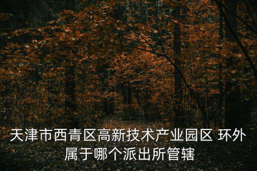 天津市西青區高新技術產業園區 環外 屬于哪個派出所管轄