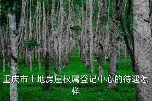 重慶市土地房屋權屬登記中心的待遇怎樣