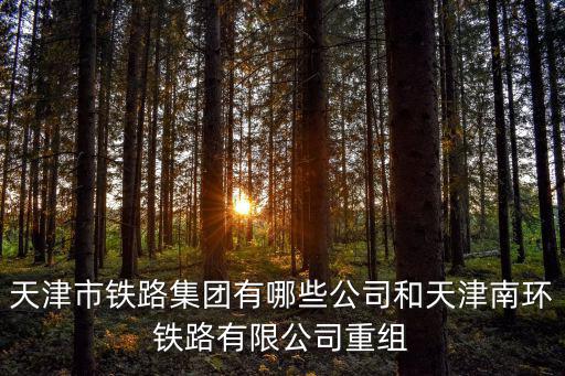 天津市鐵路集團有哪些公司和天津南環(huán)鐵路有限公司重組