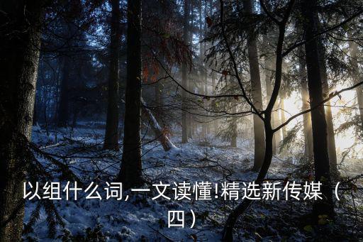 文可以組什么詞,一文讀懂!精選新傳媒（四）
