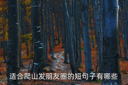適合爬山發朋友圈的短句子有哪些