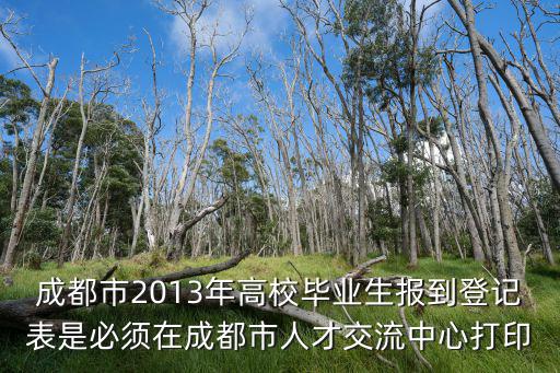 成都市2013年高校畢業(yè)生報到登記表是必須在成都市人才交流中心打印