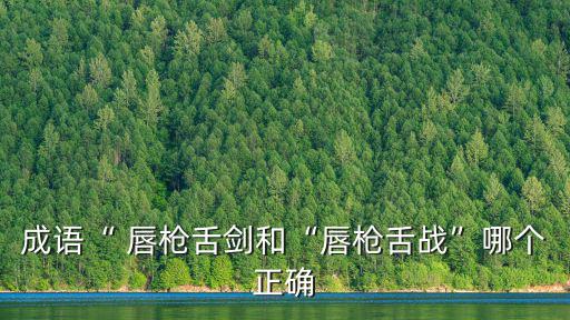 唇槍舌劍,槍槍舌劍辯手誰輸誰輸