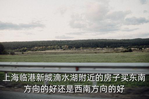 上海臨港新城滴水湖附近的房子買東南方向的好還是西南方向的好