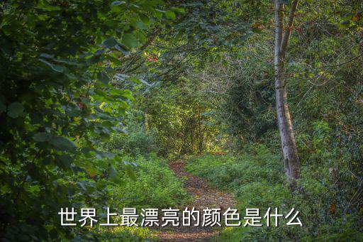 世界上最漂亮的顏色是什么