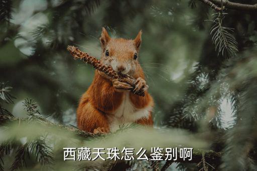 西藏天珠怎么鑒別啊
