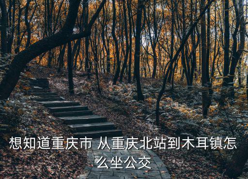 想知道重慶市 從重慶北站到木耳鎮怎么坐公交