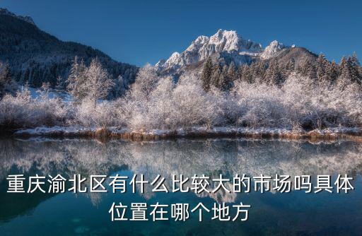 重慶渝北區有什么比較大的市場嗎具體位置在哪個地方