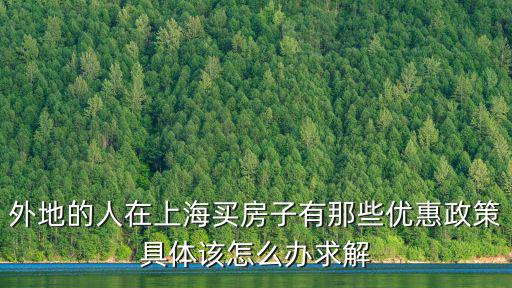 外地的人在上海買房子有那些優惠政策具體該怎么辦求解