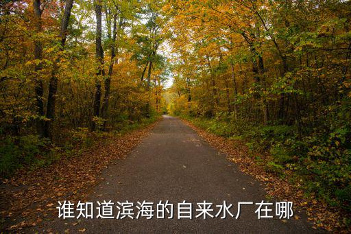 誰知道濱海的自來水廠在哪