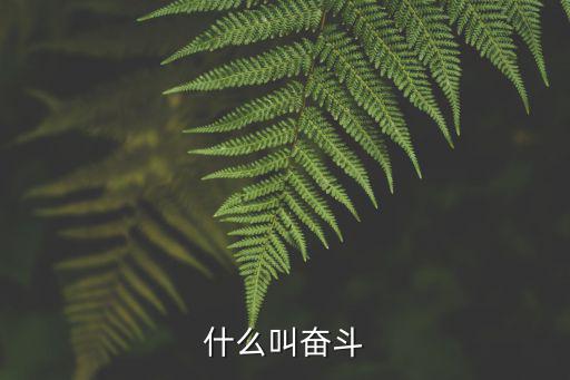 什么叫奮斗