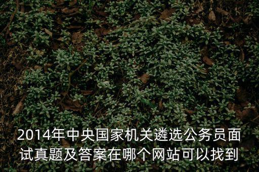 2014年中央國家機關遴選公務員面試真題及答案在哪個網站可以找到