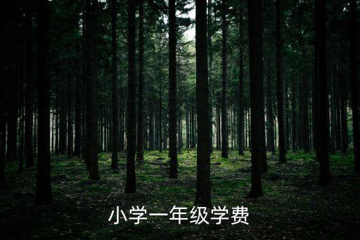 小學一年級學費