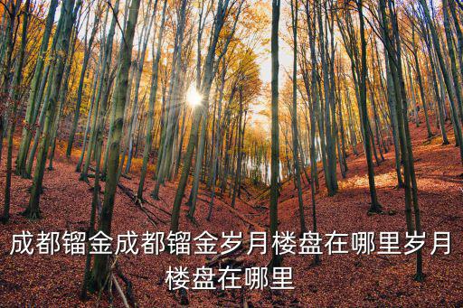 成都鎦金成都鎦金歲月樓盤在哪里歲月樓盤在哪里