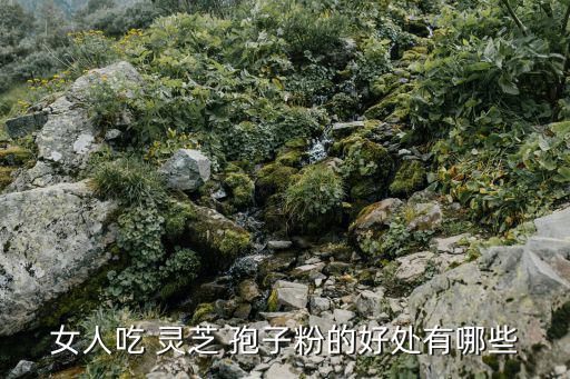 女人吃 靈芝 孢子粉的好處有哪些