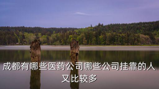 成都有哪些醫藥公司哪些公司掛靠的人又比較多